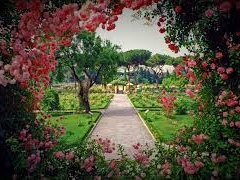Prospettiva Arte - Il Roseto Comunale all'Aventino - domenica 11 giugno ore 10,15