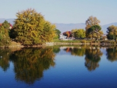 Pescare Insieme Autunno con pranzo al ristorante del lago “1° Maggio” di Agliana (PT) - domenica 13 ottobre 2024