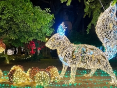 WEEK END LUNGO - LUMINARIE DI SALERNO