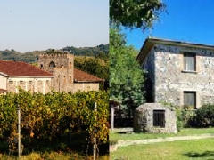 Visita azienda Vitivinicola Telaro con degustazione e pranzo agriturismo La Starza