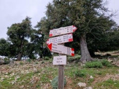 Trekking Punta Corrasi e Monte Maccione  domenica 13 aprile