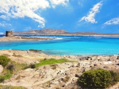 Week end all 'Asinara e visita al Centro Recupero animali Marini dal 27al 28 settembre