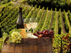 STRADA DEL PROSECCO: TREVISO, CONEGLIANO, VALDOBBIADENE -  dal 14 al 16 novembre 2025