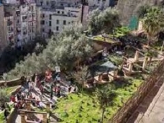 Passeggiata Letteraria: Dall'Infrascata all'Avvocata Venerdi 19 Settembre 2025 ore 10:00