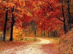 Foliage Oasi Zegna - sabato 18 ottobre 2025