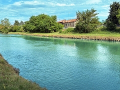 PROVA DI PESCA SUL NAVIGLIO DEL BRENTA