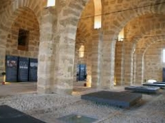 Visita culturale giornaliera Real Cantina Borbonica di Partinico e Borgo Parrini