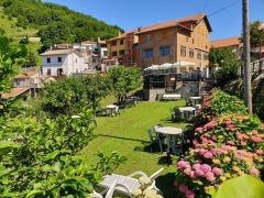 Castagnata in Liguria - domenica 26 ottobre 2025