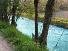 GARA DI PESCA - ROGGIA BERNARDA