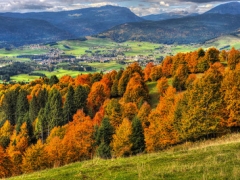 Colori d'autunno in Veneto - sabato 8 domenica 9 novembre 2025