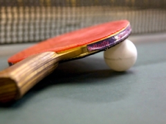 Torneo Sociale di Tennis Tavolo - domenica 23 novembre 2025