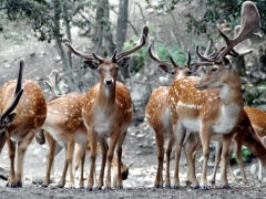 Weekend a Fonni Parco Donnortei dal 13 al 14 dicembre