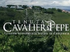 Offerta Confezioni Natalize 2025 Tenuta Cavaliere Pepe