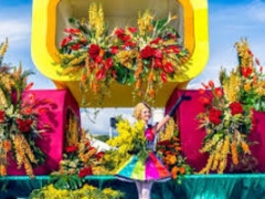 FESTA DELLA MIMOSA - MANDELIEU - Domenica 15 febbraio 2026