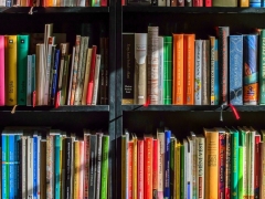 BIBLIOTECA - ANNO 2026