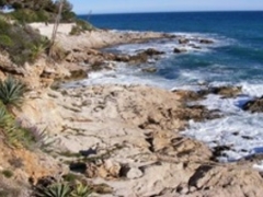 TREKKING VIA JULIA - DA VENTIMIGLIA A MENTONE - DOMENICA 8 MARZO 2026