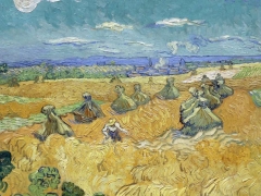 Da PICASSO a VAN GOGH -  al MUSEO SANTA CATERINA - TREVISO -   domenica 22 febbraio 2026