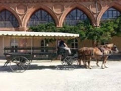 TOUR IN CARROZZA - "La passeggiata del Re" - sabato 18 aprile 2026