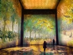 Mostra "IMPRESSIONISMO E OLTRE" Museo dell'Ara Pacis - ROMA