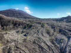 Trekking IL FIUME DI LAVA E LE LEGGENDE DEL VESUVIO Sabato 21 Marzo 2026 ore 10:00