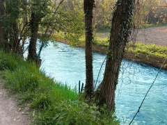 GARA DI PESCA &ndash; ROGGIA BERNARDA - Sabato 11 Aprile 2026 - Localit&agrave; Cartigliano (VI)