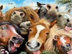 CENTRO ESTIVO CASCINA VITTORIA - dal 15 giugno fino al 10 luglio 2026 - per bambini dai 5 ai 12 anni - prenotazioni entro il 13 maggio