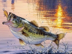 Pescare insieme primavera con pranzo presso ristorante "Du Palle" - sabato 02 maggio 2026