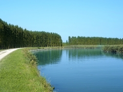 Prova di Pesca - Fiume Sile - 9 Maggio