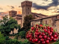 RACCOLTA DELLE CILIEGIE A VIGNOLA  CON PRANZO e visita della rocca di Fontanellato - domenica 07 giugno 2026