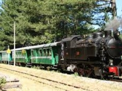 Week end in Sila tra natura e storia - dal 21 al 23 agosto 2026