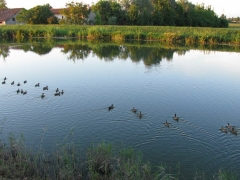 Prova di pesca Canale Brian - 27 giugno