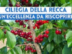 Passeggiata in natura per tutti "LA SELVA DI CHIAIANO E LE CILIEGIE" Sabato 20 Giugno 2026 ore 10:00