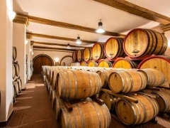 Festa della Vendemmia con pranzo e degustazione in Azienda Vitivinicola Villa Matilde Avallone Sabato 26 Settembre 2026 ore 11:00