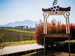 "Un giorno in Vendemmia " Pranzo/degustazione Ristorante "La Veduta" Tenuta Cavaliere Pepe Domenica 04 Ottobre 2026 ore 10:30