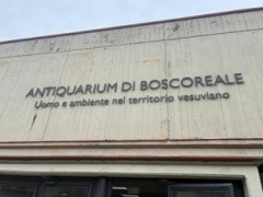 Visita guidata VILLA REGINA  E L&rsquo;ANTIQUARIUM DI BOSCOREALE Domenica 06 Settembre 2026 ore 10:00