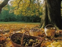 CASTAGNATA SUL MONTE AMIATA - Pranzo conviviale