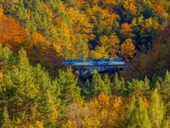 TRENINO DEL FOLIAGE - SABATO 7 NOVEMBRE 2026