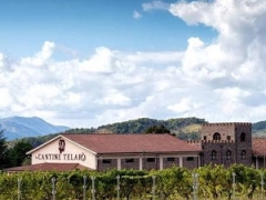 Pranzo della "Festa del Novello "LA STARZA-VINI TELARO Domenica 29 Novembre 2026 ore 11:30