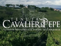 &ldquo;La Raccolta delle Olive&rdquo; Degustazione Olio e Vini della Tenuta Cavaliere Pepe  Pranzo al Ristorante " La Veduta " Sabato 14 Novembre 2026 ore 11:30