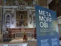 Visita Guidata Donnaregina Vecchia e Nuova e la Mostra "Metamorfosi" Sabato 21 Novembre 2026 ore 10:00